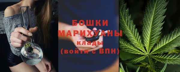 гидропоника Елабуга
