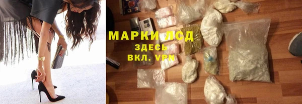 СК Ельня
