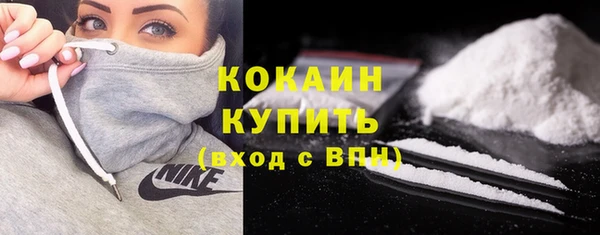 СК Ельня