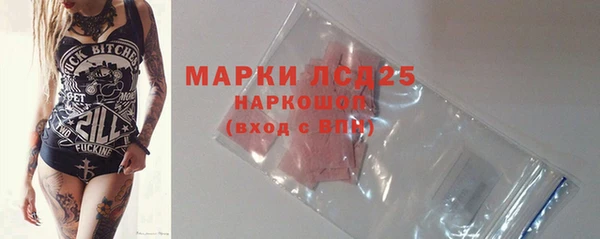 СК Ельня