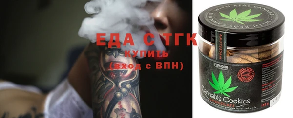 СК Ельня