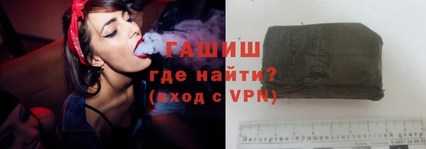 СК Ельня