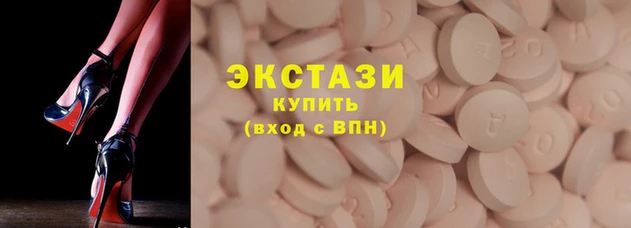 СК Ельня