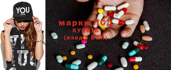 СК Ельня