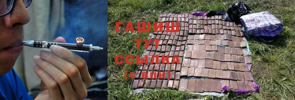 гидропоника Елабуга