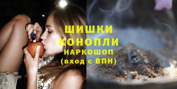 СК Ельня