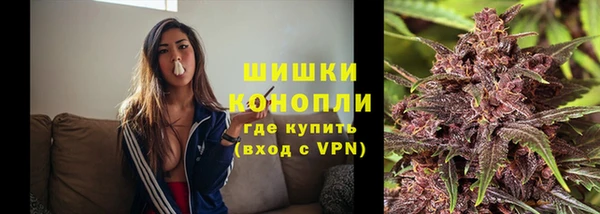 СК Ельня
