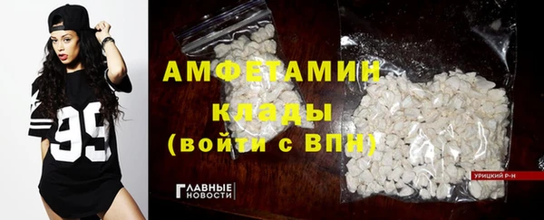 СК Ельня